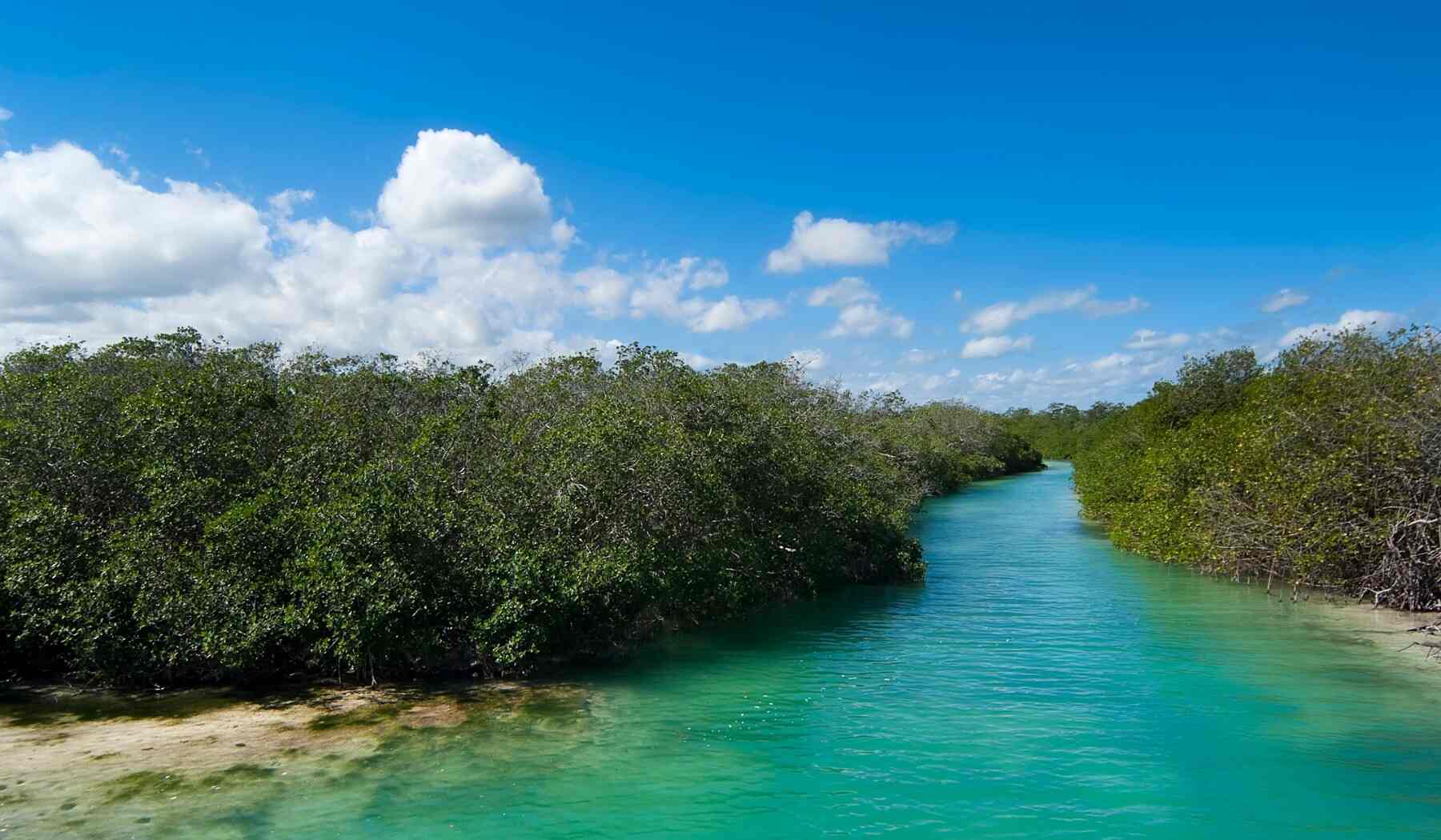 Sian-Kaan-biosphere-reserve