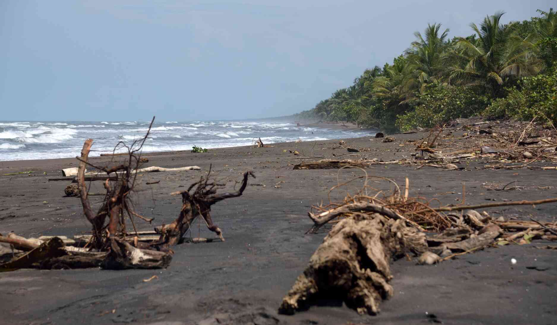 black-sand-beach-tortuguero