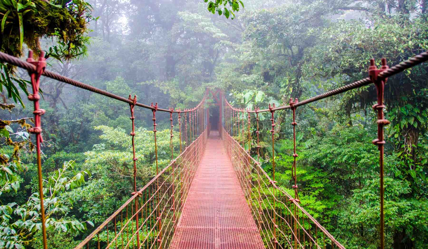 bridge-monteverde-costa-rica