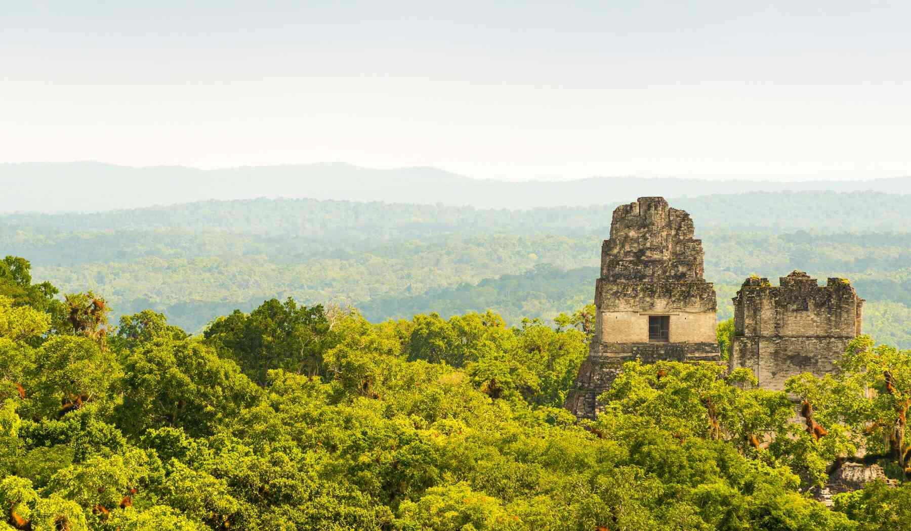 costa-rica-biodiversitaet