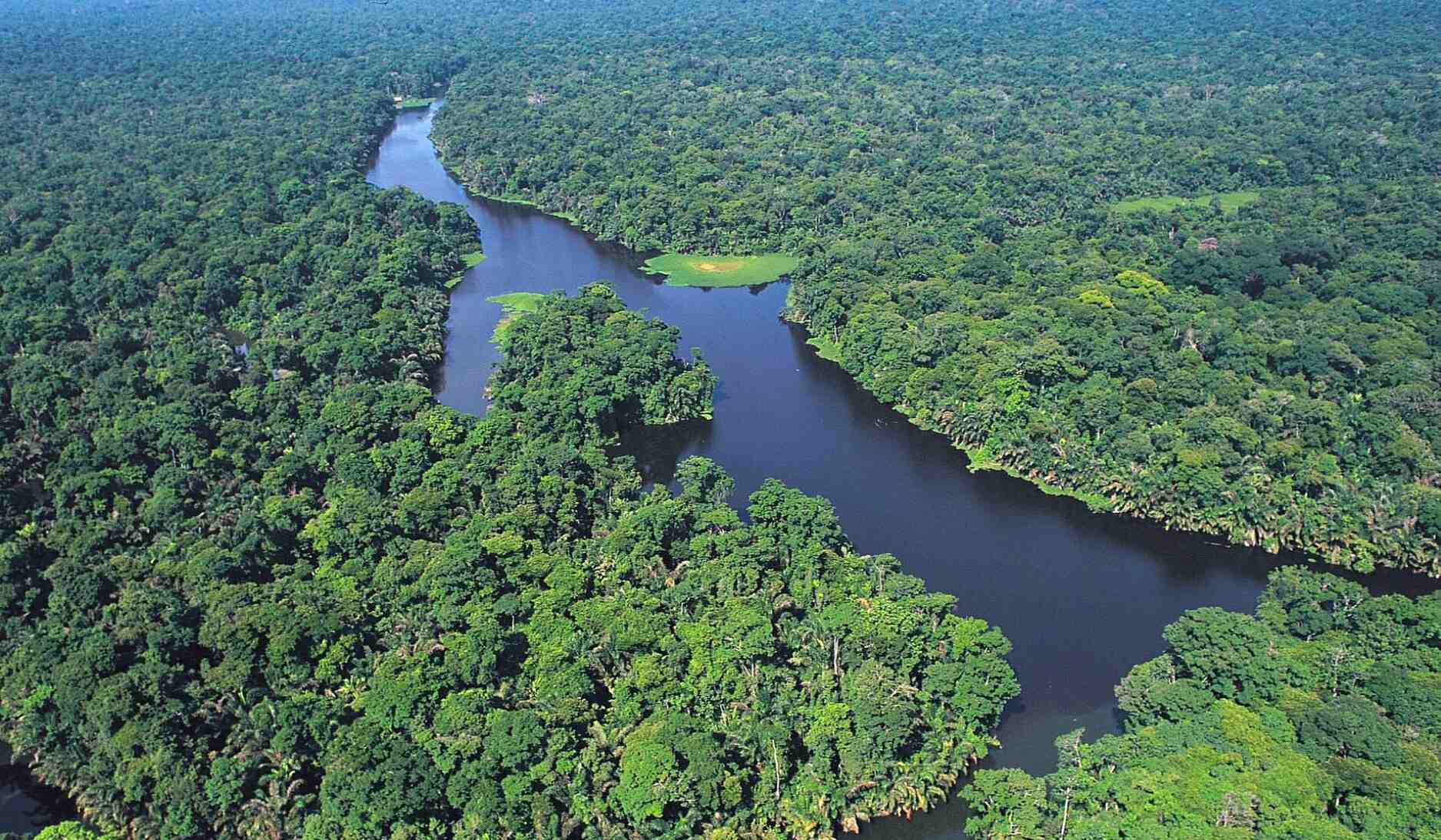 tortuguero-national-park