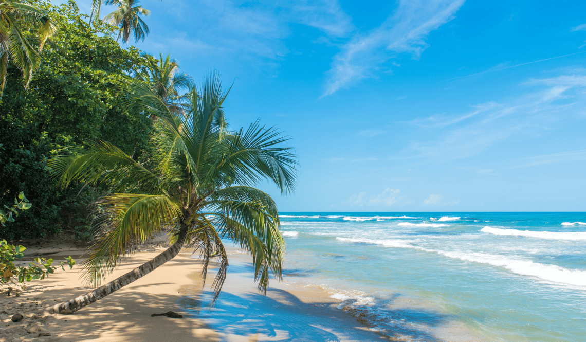 Beach near Puerto Viejo