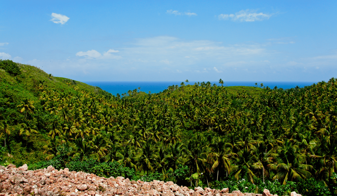 Los Haitises