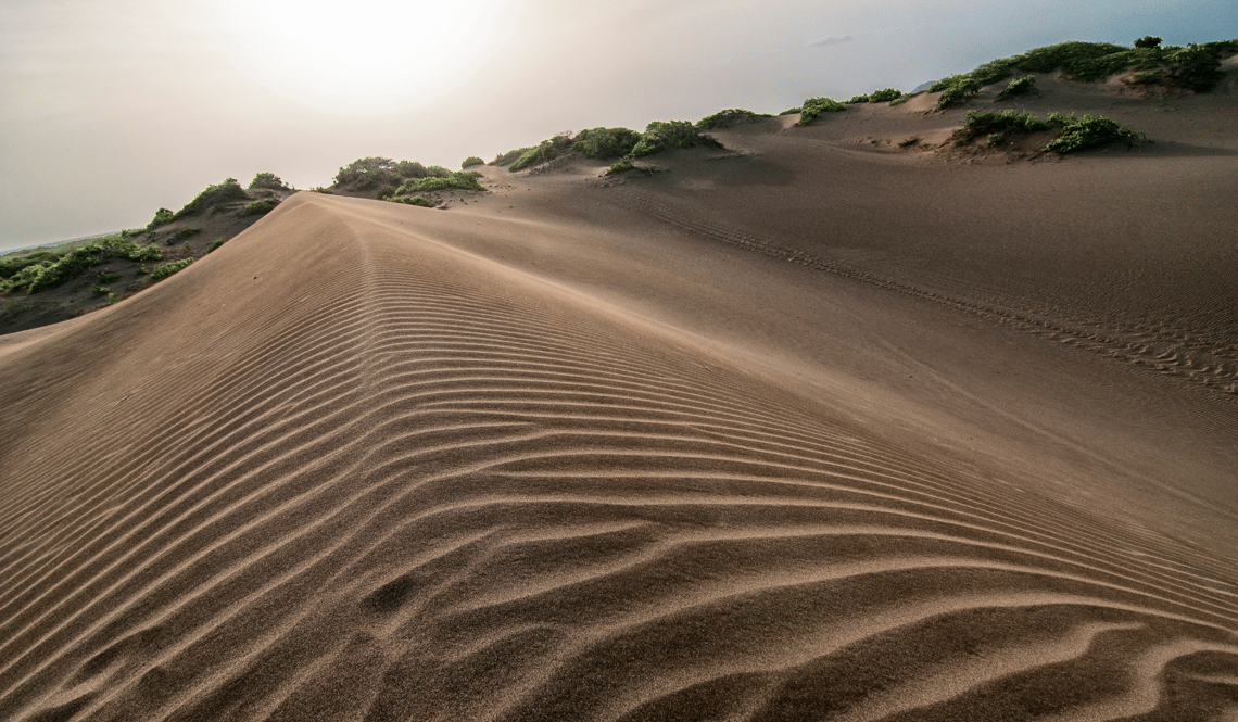 PUR 04.35 D.R. trip report, dunes of Bani