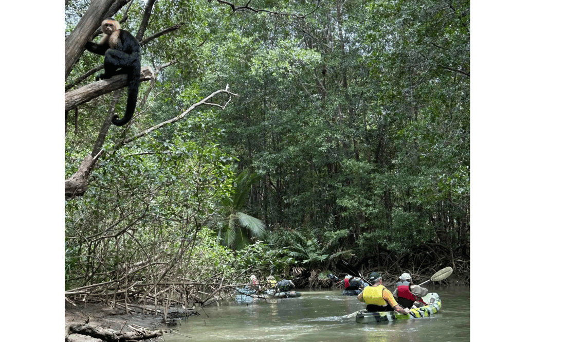 PUR 05.25 Hidden Gems TS – Isla Damas, Kayak and monkey