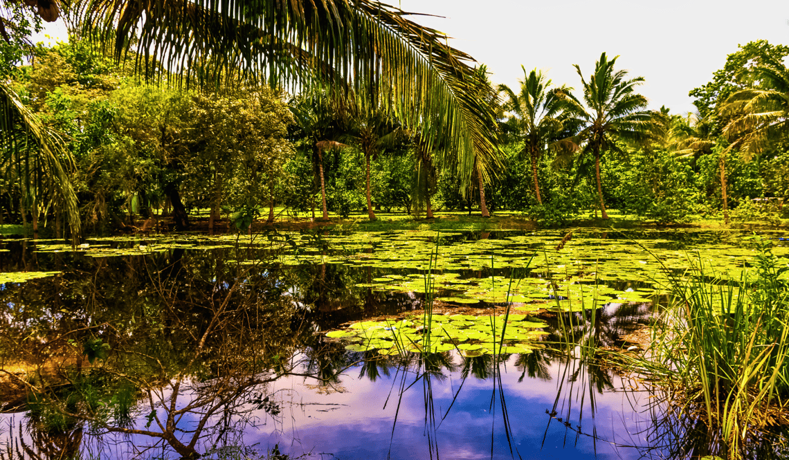 Zapatas Peninsula